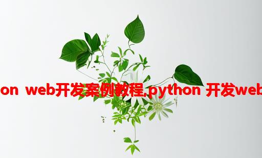 python web开发案例教程,python 开发web项目